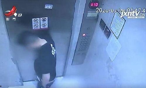 国产电梯摇摇晃晃视频