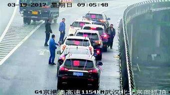 国产货车当婚车视频大全,创意婚礼视频大盘点